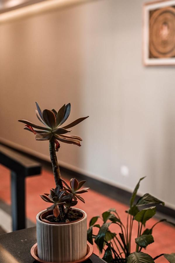 Pancha Buddha Service Apartments And Rooms Катманду Екстериор снимка